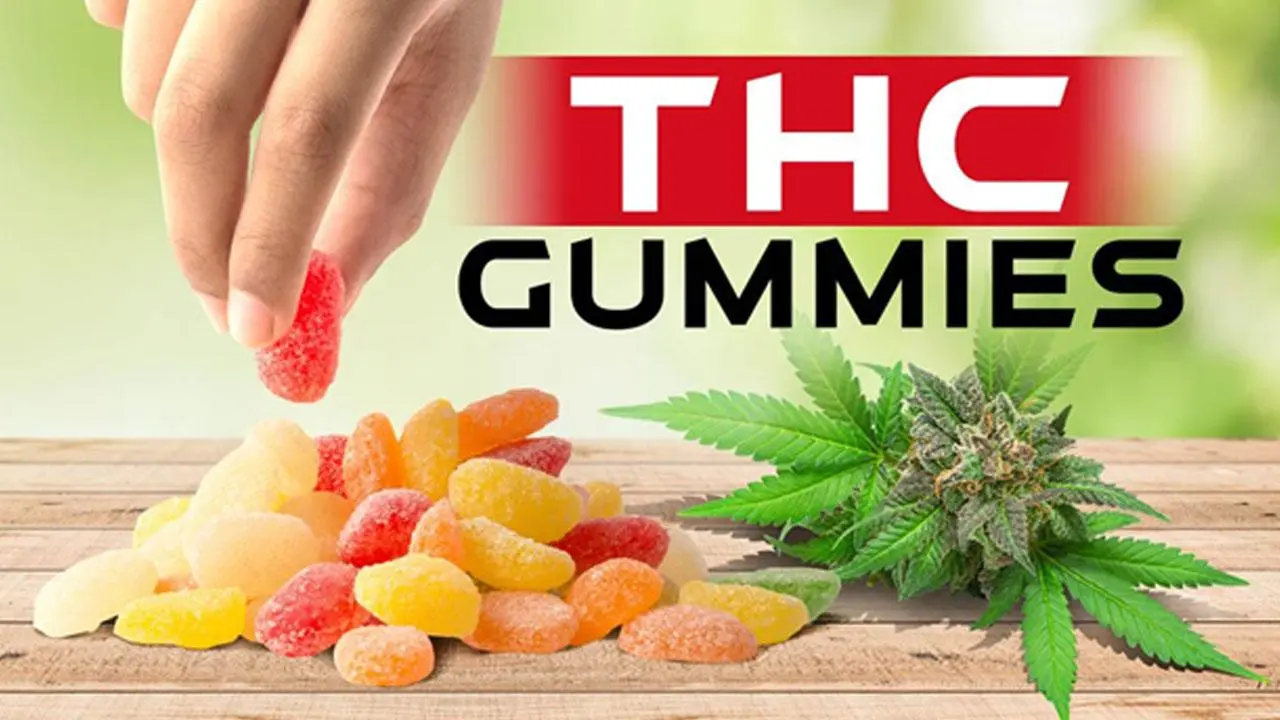 Exploring Delta 9 THC Gummies: Legal and Delicious Cannabis Edibles